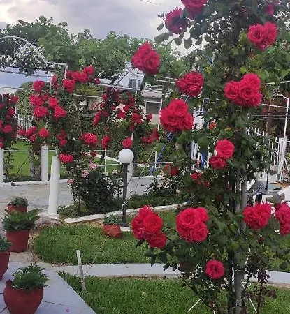 Artzie. έξοχικο με τεράστιο εξωτερικό χώρο. *