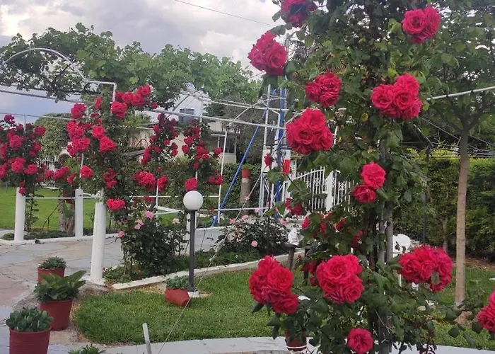 度假居 Artzie. έξοχικο με τεράστιο εξωτερικό χώρο. *